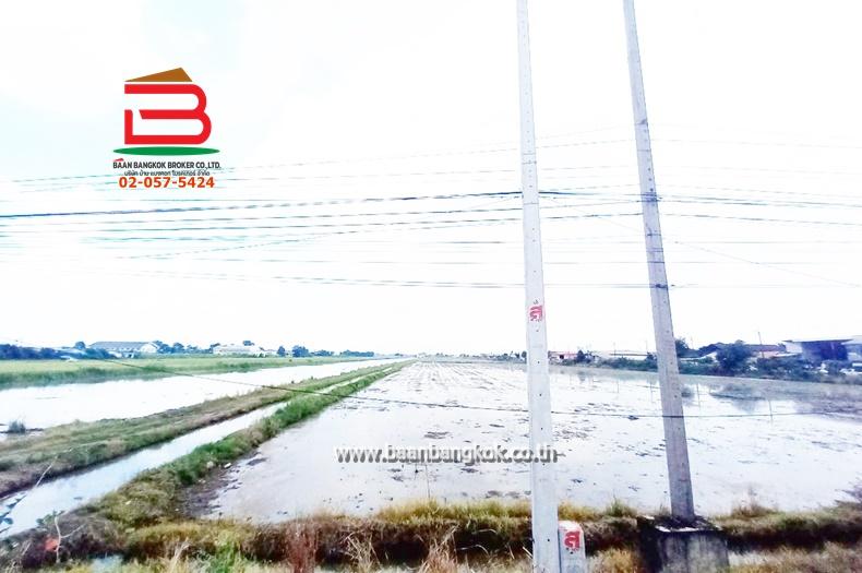 ที่ดินเปล่า ถนนเลียบตะวันออกคลอง 7, เทศบาลลำลูกกา ซอย 3 เนื้อที่ 84-1-19 ไร่ ตำบลลำลูกกา อำเภอลำลูกกา จังหวัดปทุมธานี