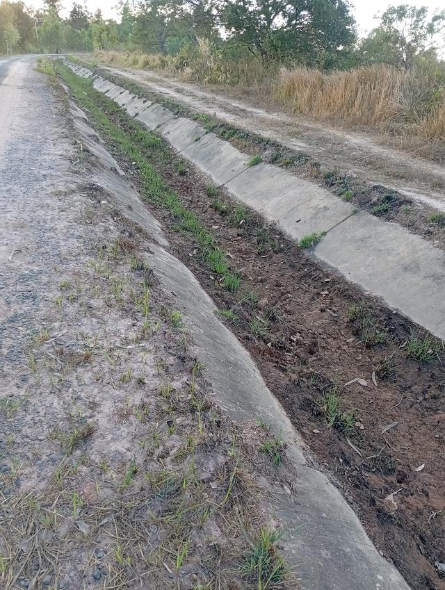 ที่ดินทุ่งนา 31 ไร่ 2 งาน 39 ตารางวา นส3. ติดคลองชลประทาน ใกล้ปั๊มน้ำมัน ห่างโรงพยาบาลโขงเจียม7กม. จ.อุบลราชธานีโขงเจียม รูปย่อยที่ 5