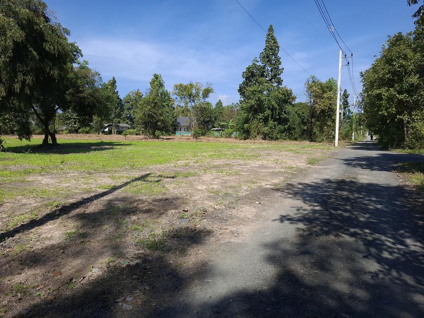 ที่ดินเปล่าขนาด 1ไร่ 3งาน62ตรว. 4
