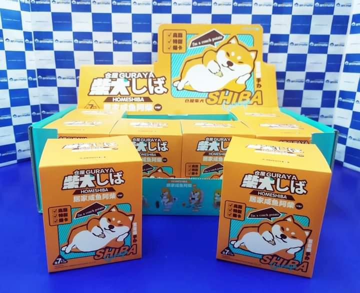 Guraya Home Shiba