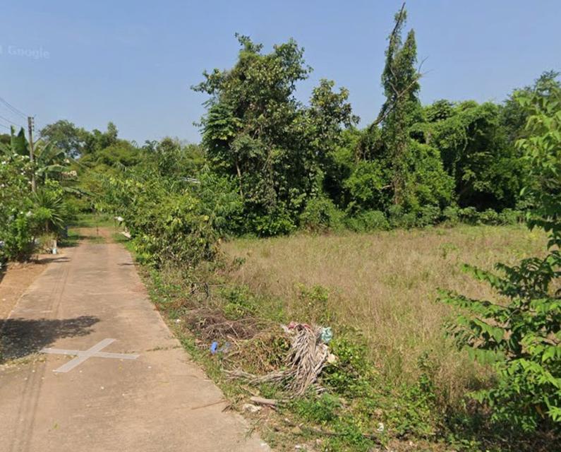 ขายที่ดินหนองตารอด บ้านซ่อง 22 ไร่ ใกล้ถนนสี่เลนเส้น319-900เมตร อ.พนมสารคาม ฉะเชิงเทรา 2