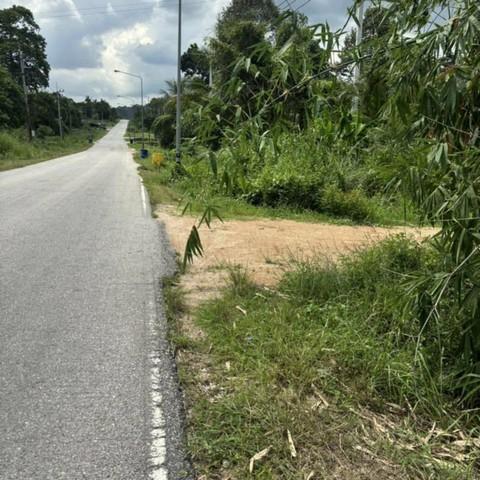 ขายที่ดินนิคมพัฒนาระยอง ขายที่ดินระยองเนื้อที่ 10 ไร่ ต.พนานิคม อ.นิคมพัฒนา จ.ระยอง ผังสีม่วงลาย 4