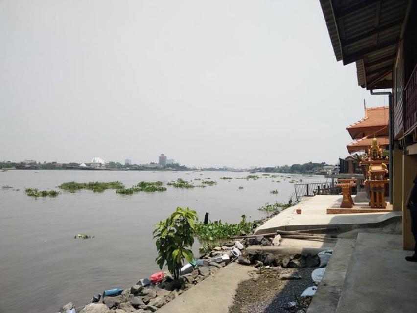ขายบ้านเรือนไทยติดแม่น้ำเจ้าพระยานนทบุรี บ้านเรือนไทยไม้สัก2หลังบ้านปูน1หลังเนื้อที่168ตรว ใกล้วัดตาล วัดบางตะไนย์ ตรงข้ 2