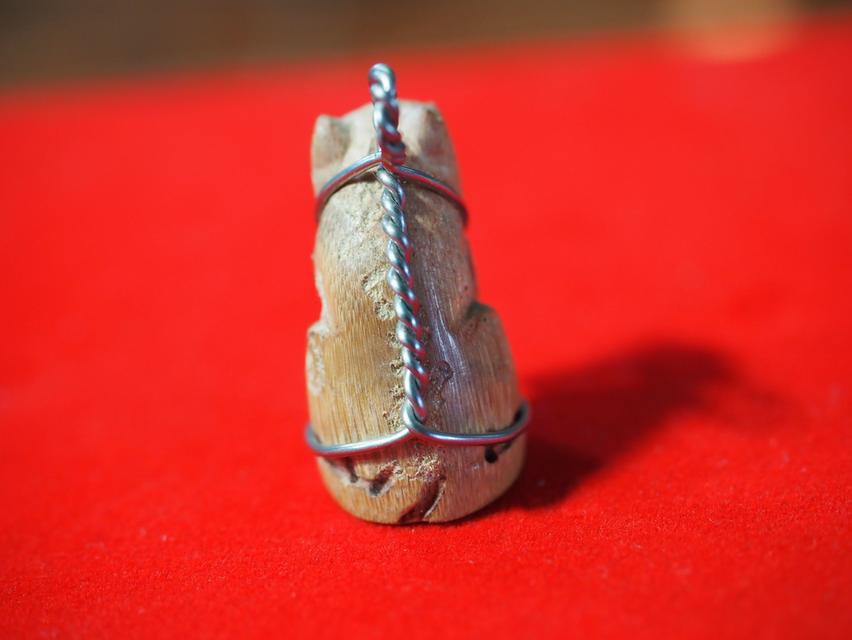 	เสือไม้แกะ หลวงตาแก่ 3