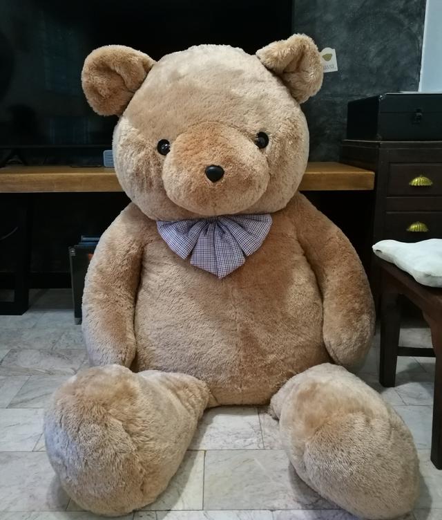 ส่งต่อพี่หมีตัวใหญ่ ของTeddy house ไม่มีที่วาง ใหม่มากห่อคลุมกันฝุ่นไว้ตลอด 4