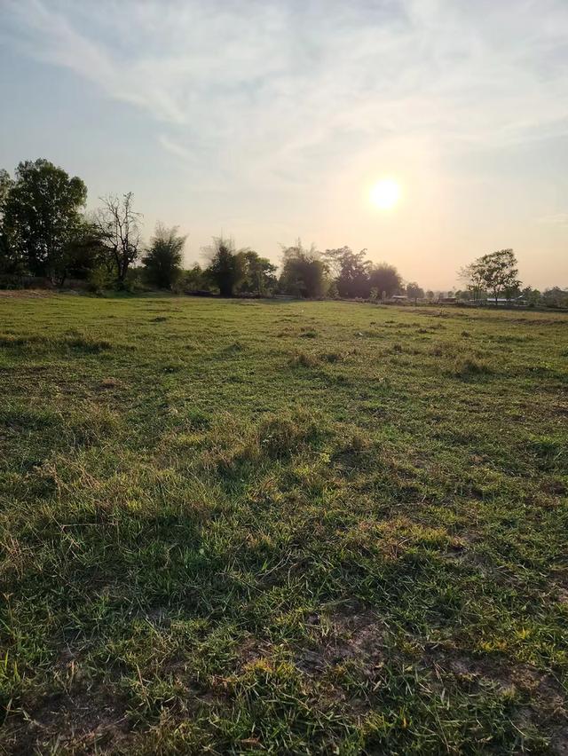 ที่ดินเปล่า 12 ไร่ อำเภอยางสีสุราช จังหวัดมหาสารคาม 4