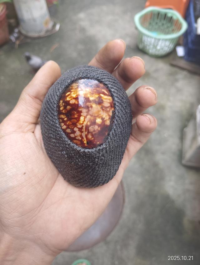 เบี้ยแก้หลวงปู่รอดวัดนายโรง ของแท้แน่นอน 6