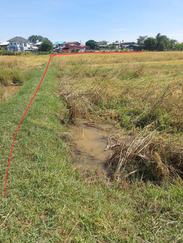 ที่ดินจังหวัดขอนแก่น 9ไร่ 3