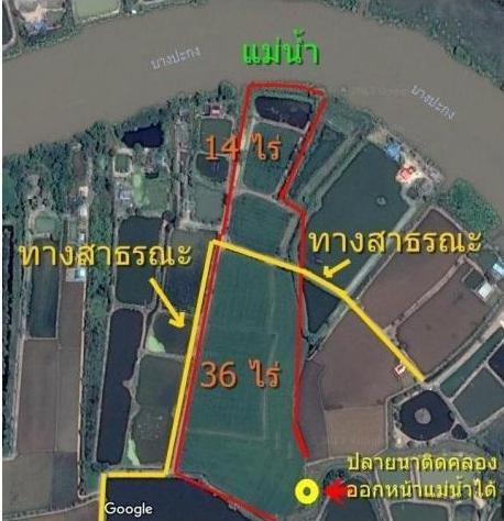 ที่ดินติดแม่น้ำบางปะกง บางกะเจ็ด/คลองเขื่อน 50 ไร่ 12