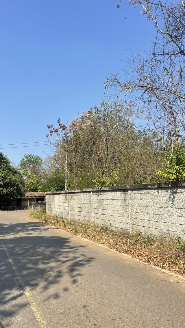 ขายที่ดินพนัสนิคม ชลบุรี พร้อมสิ่งปลูกสร้าง 2-2-20 ไร่ (แปลงมุมติดถนนคอนกรีต 2 ด้าน) 10