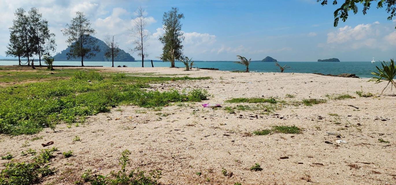 🏝️ ขายที่ดินติดทะเล ดอนสัก สุราษฎร์ธานี โฉนด น.ส.4 จ. (Land Title: Chantel (Nor Sor 4 Jor) Full Ownership 5