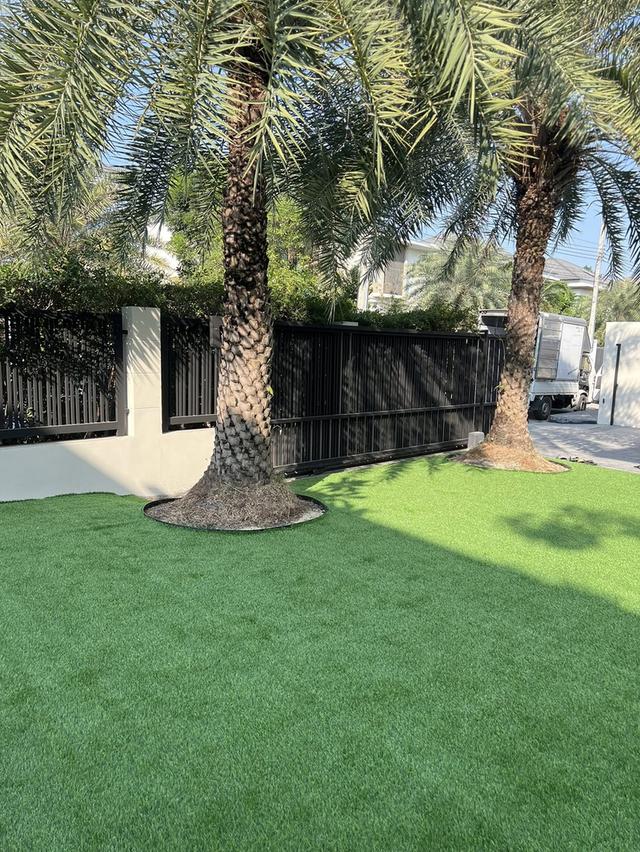 รหัสC6991 ให้เช่าบ้านเดี่ยว 2ชั้น โครงการหรู เพอร์เฟค มาสเตอร์พีซ สุขุมวิท 77 เฟส3 บางพลี สมุทรปราการ 3