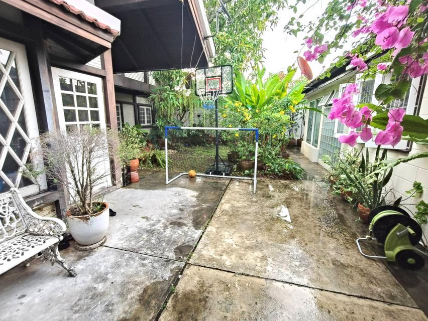 ขายบ้านเดี่ยว 2 หลัง เนื้อที่ 142 ตร.ว. ซ.รัชดาภิเษก 52 ทำเลรัชวิภา ใกล้ทางด่วนศรีรัช 6