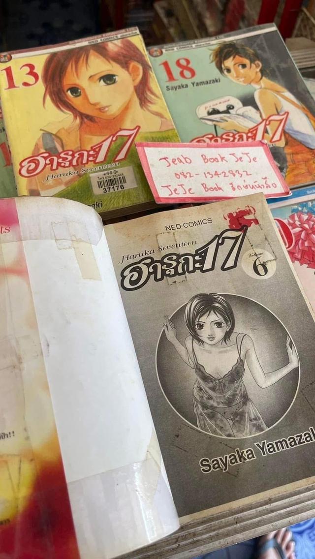 หนังสือการ์ตูน ฮารุกะ 17 1-19 จบ รูปย่อยที่ 3