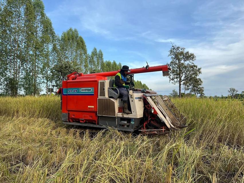 รถเกี่ยวข้าว Kubota SR35 ปี 2010 3