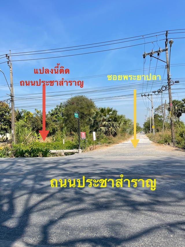 ขายที่ดินหนองจอก 72 วา ติดถนนประชาสำราญ 1