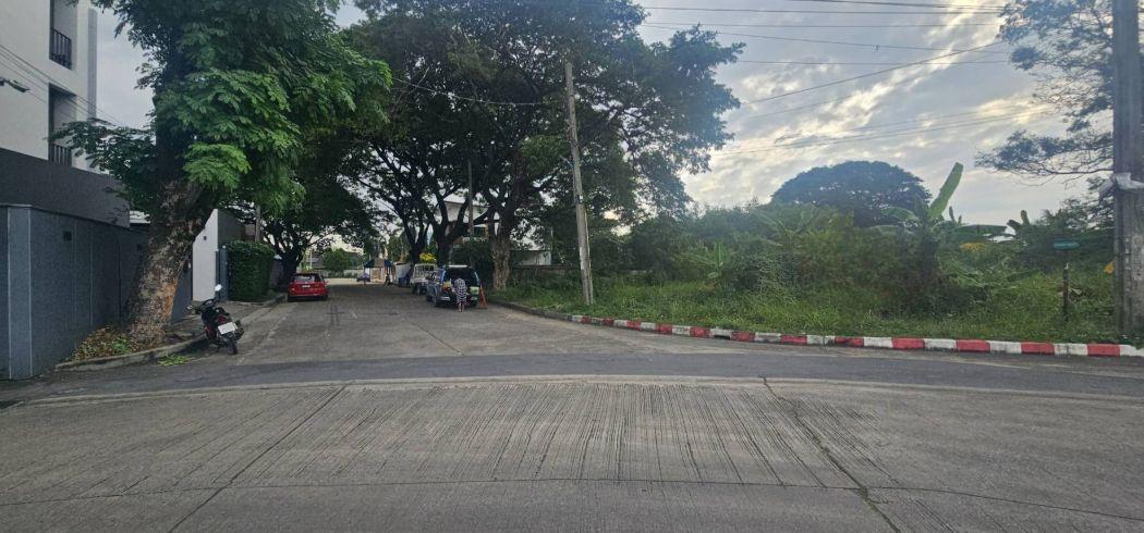 ขาย ที่ดิน ซอย1หมู่บ้านรวมเก้า 236 ตร.วา พุทธมณฑลสาย2 ซอย11 บางแค กทม 5