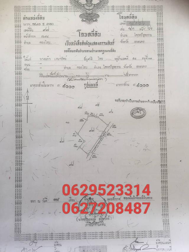 ขายที่ดินพร้อมสวนปาล์ม 3