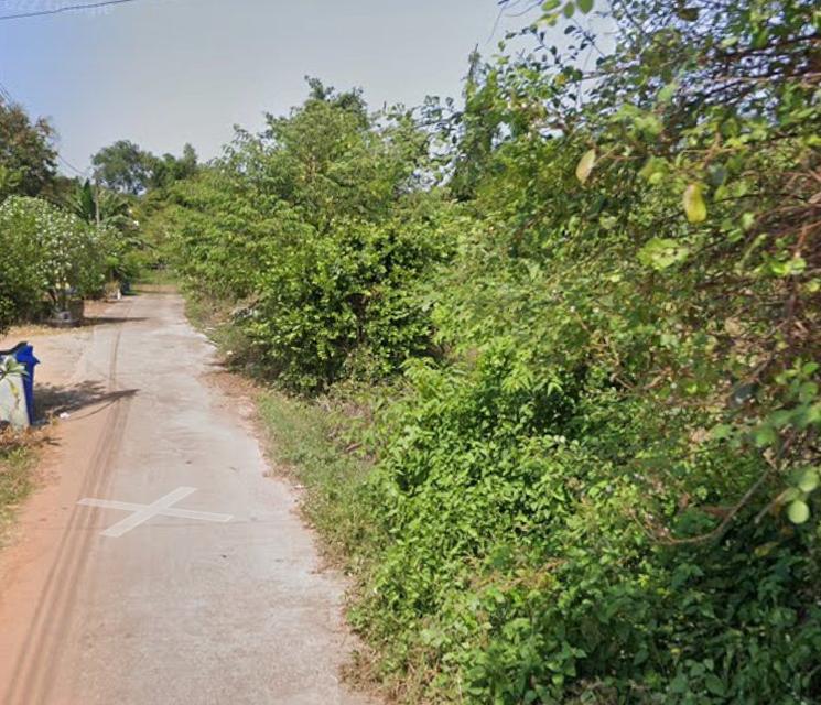ขายที่ดินหนองตารอด บ้านซ่อง 22 ไร่ ใกล้ถนนสี่เลนเส้น319-900เมตร อ.พนมสารคาม ฉะเชิงเทรา