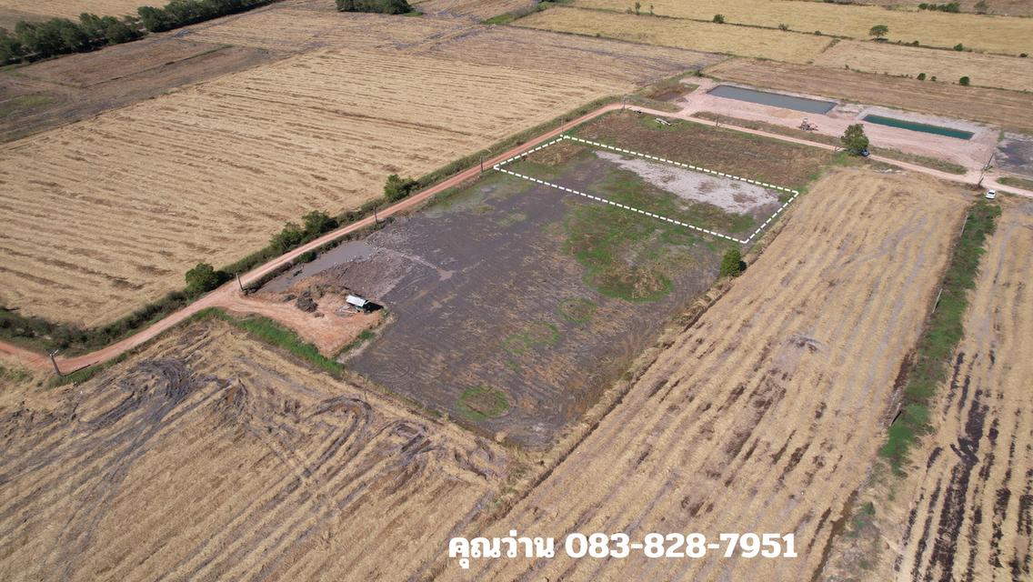 ขายที่ดิน 1 ไร่ มีโฉนด อ.ปากพลี ขายพร้อมโอน 420,000 บาท 7