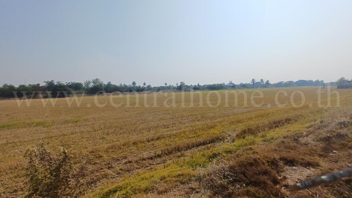 ที่ดิน 34-1-44 ไร่ ไทรน้อย นนทบุรี ทำเลดี ราคาถูกมาก 3