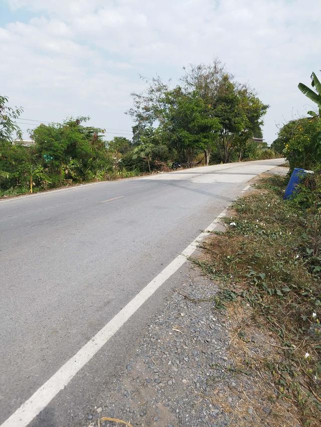 ที่ดินนครหลวง จ.อยุธยา 2
