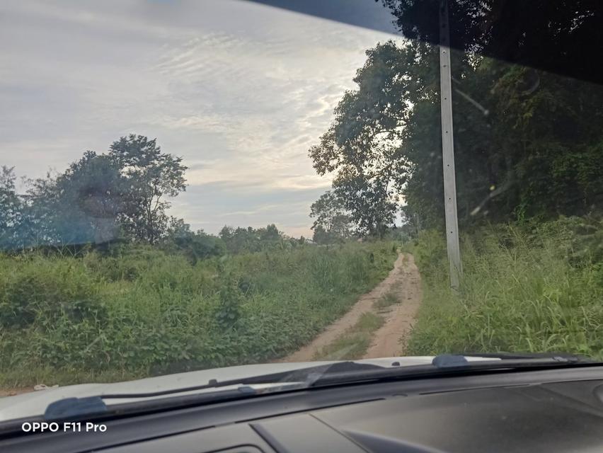 ขายที่ดินติดคลอง 6