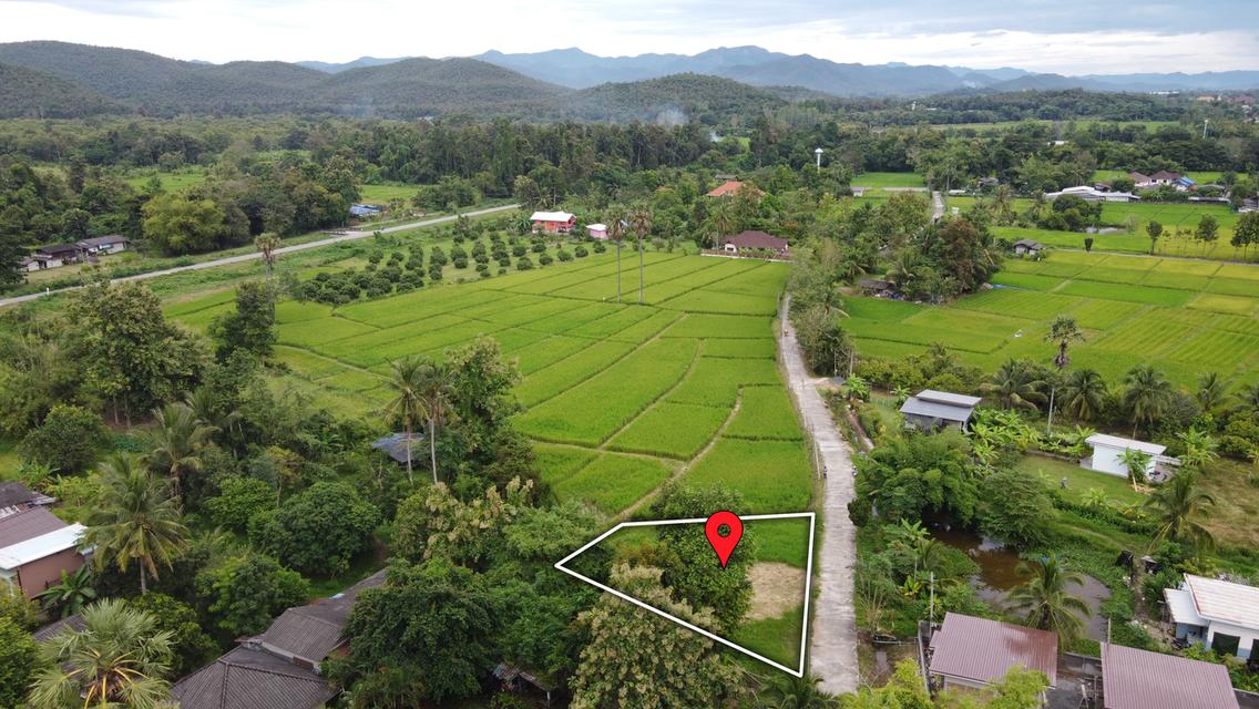 ที่ดิน 160 ตร.ว. ถมแล้ว น้ำ-ไฟ-พร้อม วิวทุ่งนาสวยๆ 6