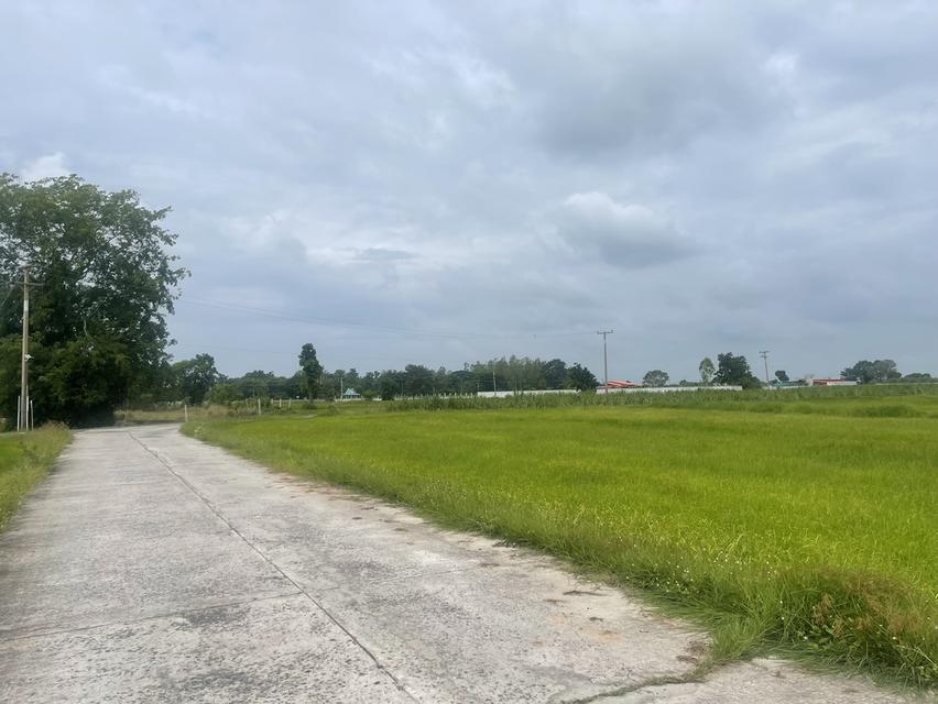 ทึ่ดินเปล่าติดถนนใหญ่ 6