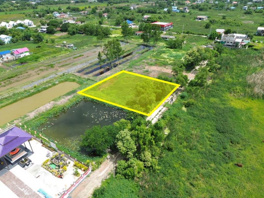ขาย ที่ดิน ซ.เลียบวารี 59 ติดเทวาลัยเทพนิมิต 353 ตรว เหมาะปลูกบ้าน หรือทำโกดัง ใกล้ BigC หนองจอก ราคาพิเศษ 1