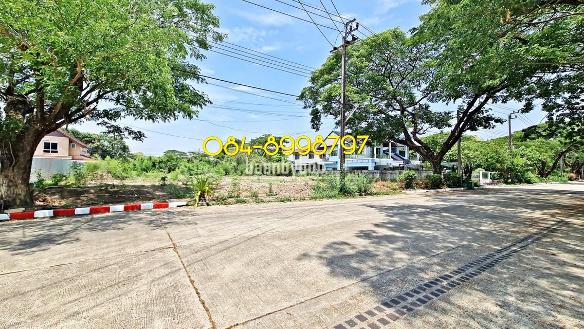 #ขายด่วนยกแปลง ที่ดินถมแล้ว แปลงมุมติดถนนเมน พุทธมณฑลสาย 2อยู่ในหมู่บ้านรวมเก้า บางแค ทำเลดี ต้นโครงการ ใกล้สโมสร พร้อมล้อมรั้วแล้ว 2 ด้าน! 3
