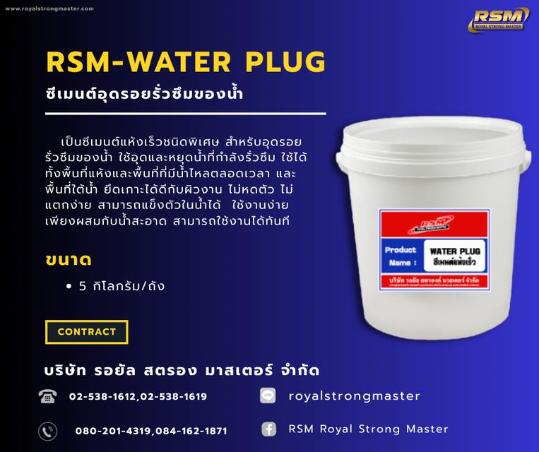 ซีเมนต์อุดรอยรั่วซึมของน้ำ ( RSM - WATER PLUG )