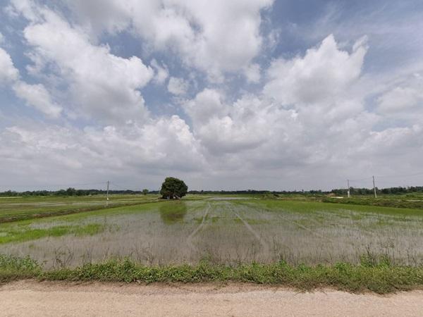ขายที่ดิน ที่นา พิษณุโลก อำเภอวังทอง 19 ไร่ สวยมาก วิวนาสวย อากาศดี เงียบสงบ โทร 063-2825635 1