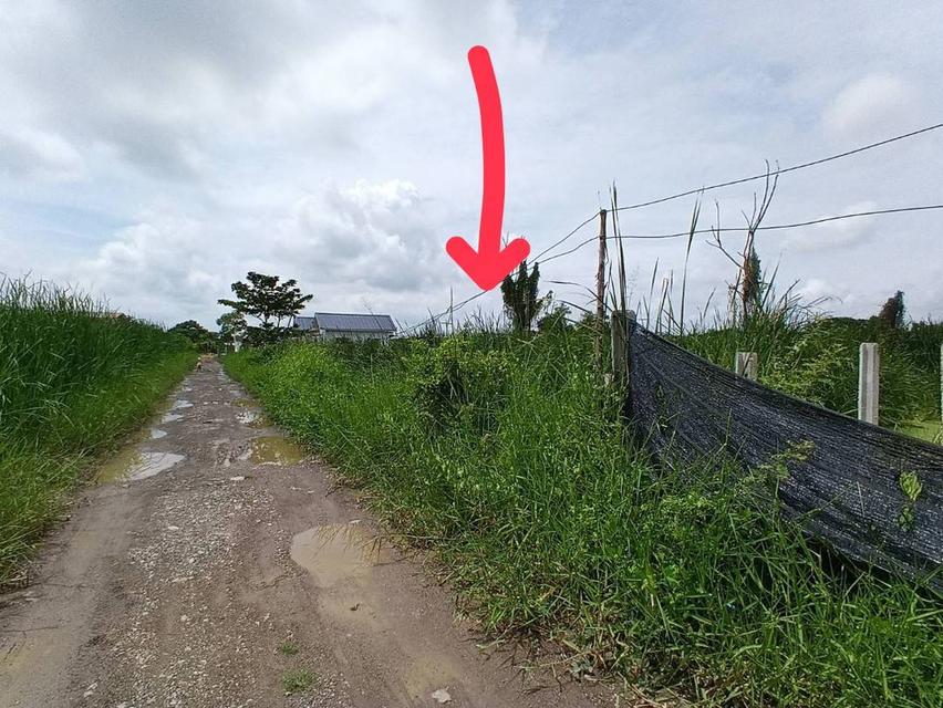 ขายที่ดิน 160 ตารางวา เลียบวาลี 59 ราคาย่อมเยา 1