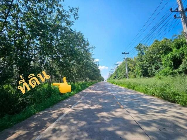 ที่ดินสวยถูกสามารถสร้างโรงงานโกดังได้ ที่ดินผังสีเหลือง ต.หนองอิรุณบ้านบึงชลบุรี