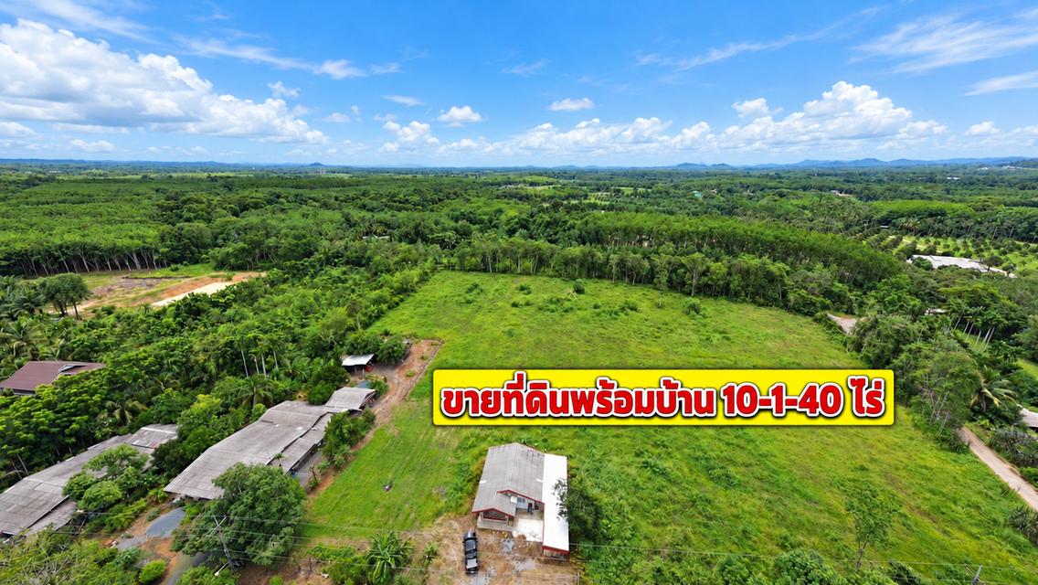 ขายที่ดินพร้อมบ้าน 10-1-40 ไร่ ติดถนนสาธารณะ 3 ด้าน เนินทราย เมืองตราด เหมาะทำธุรกิจเกษตร 4
