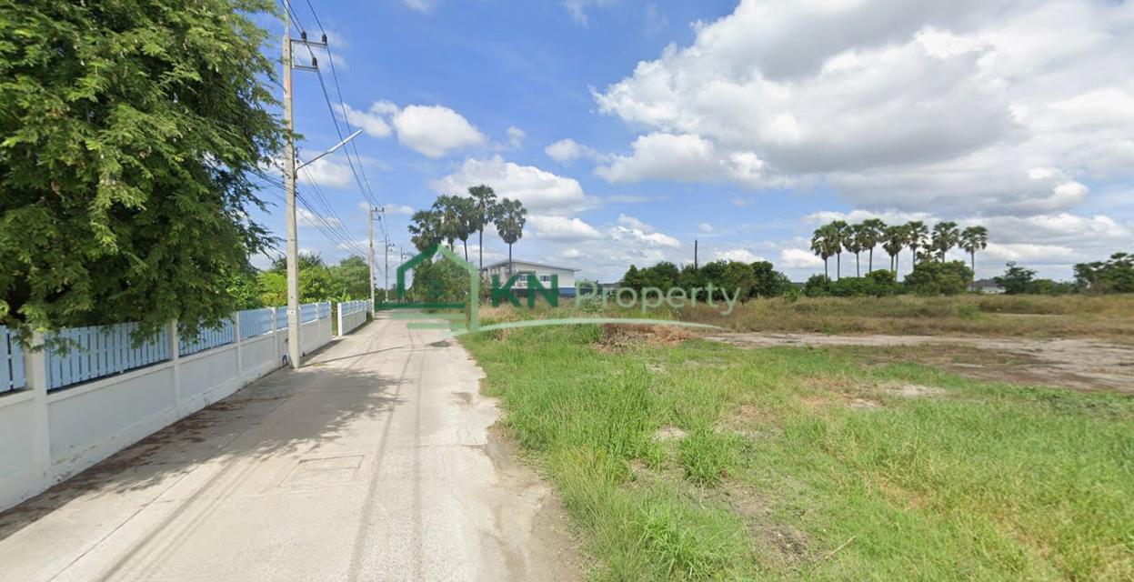 ขายที่ดิน 7-3-48 ไร่ ติดถนนเทศบาล 4 และนิคมอมตะซิตี้ ต.หนองตำลึง อ.พานทอง จ.ชลบุรี 5