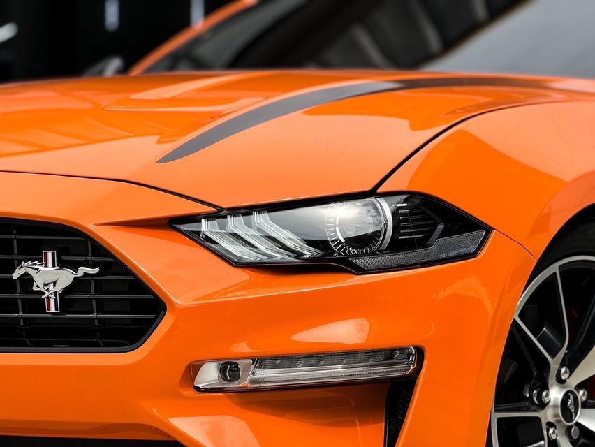 รหัสรถ MCA6666 2021 FORD MUSTANG 2.3 HIGH PREFORMANC RECARO EDITION 330 HP |