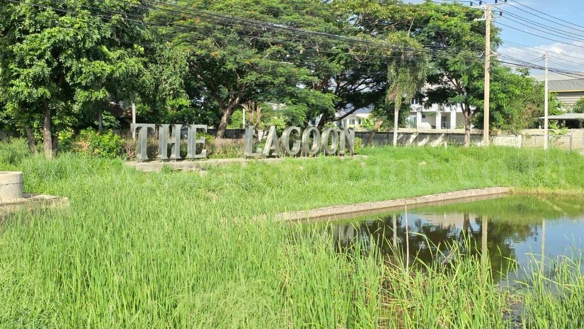 ที่ดินเปล่า 98 ตร.วา ต้นโครงการ เดอะลากูน 1-2 สามโคก ปทุมธานี  10