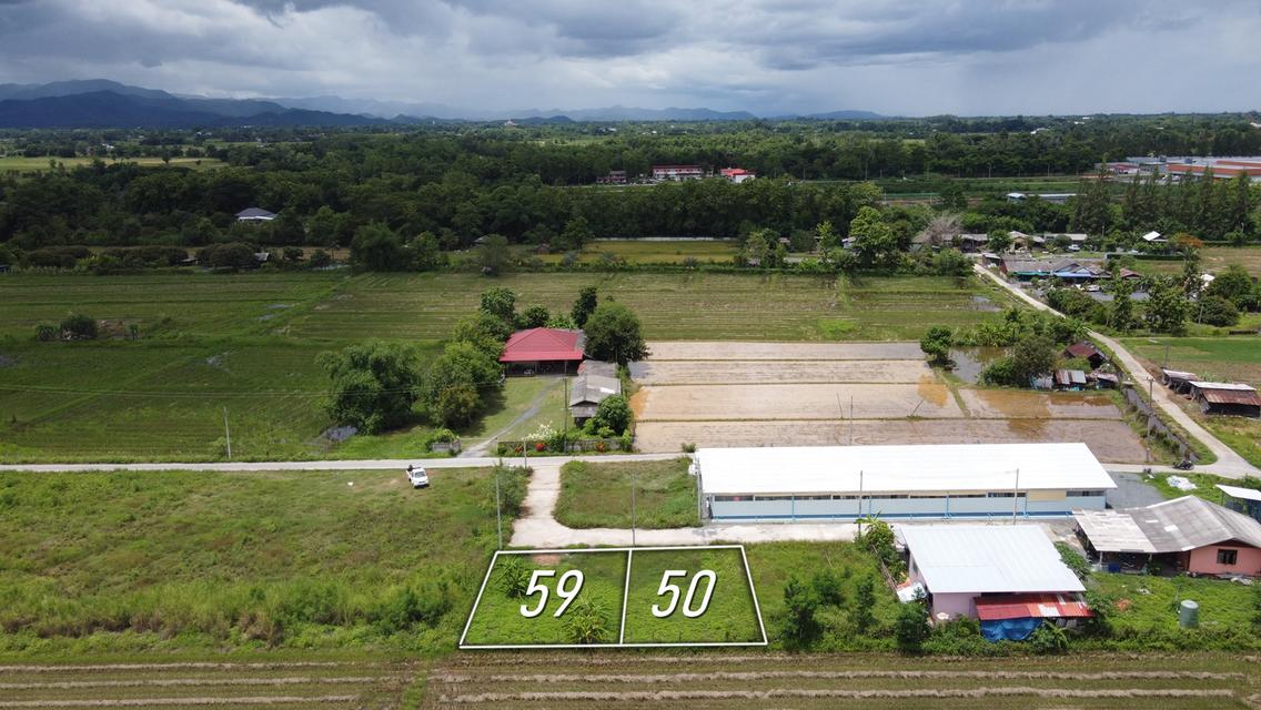 ที่ดินแบ่งขาย 50 และ 59 ตร.ว. เริ่มต้น 300,000 บาท น้ำไฟถนนคอนกรีตพร้อม 5