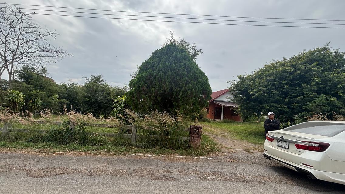 บ้านพร้อมที่ดิน คลองสอง วังน้ำเขียว 14