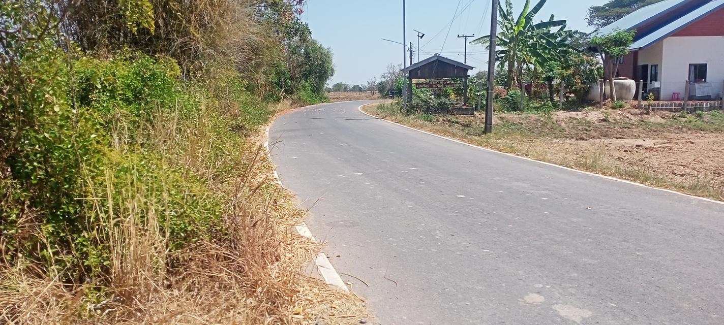 ที่ดินทำการเกษตร ปลูกบ้านอาศัย หรือจะเปิดร้านพาณิชย์ 8