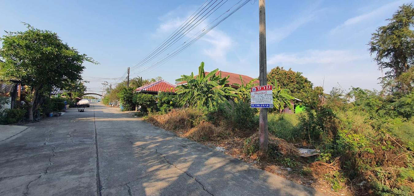 ขายที่ดินคลองโยง 210 คารางวา พุทธมณฑล นครปฐม แบ่งขายได้ 8