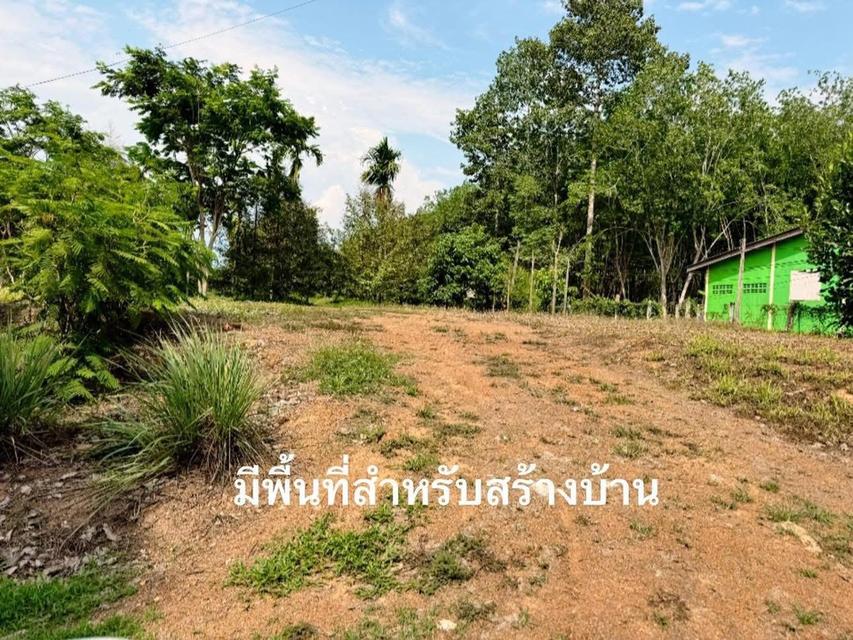 ขายสวนทุเรียนแปลงเล็กระยอง ให้ผลผลิตแล้ว 2-3-97 ไร่ 4,500,000- 8