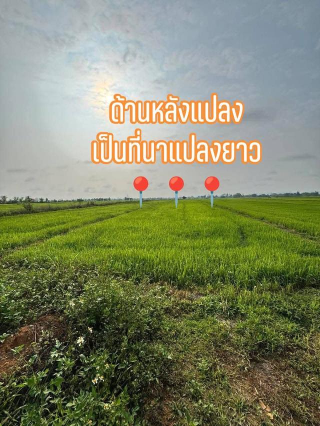 ที่ดิน 3 ไร่อำเภอแม่จันจังหวัดเชียงราย 8