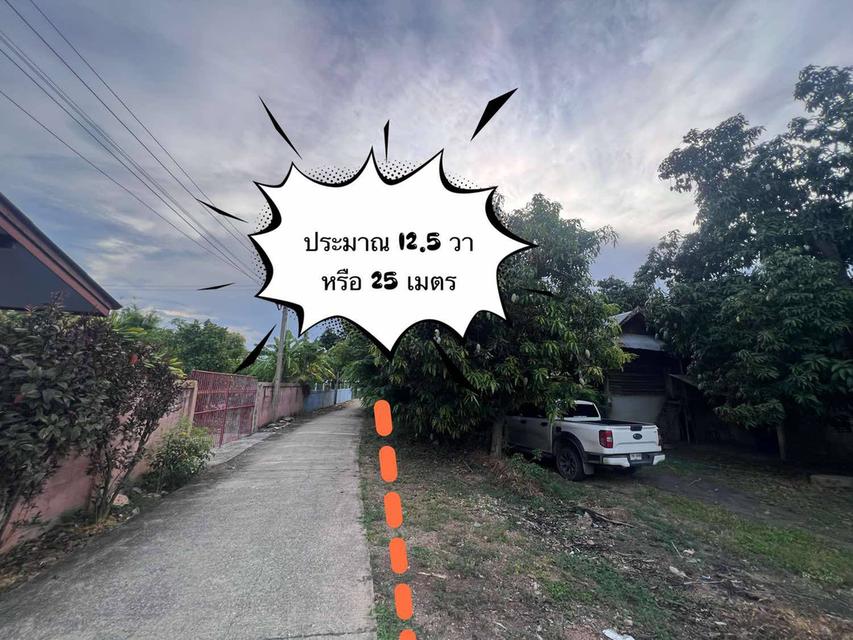 ขายที่ดินในหมู่บ้าน 3