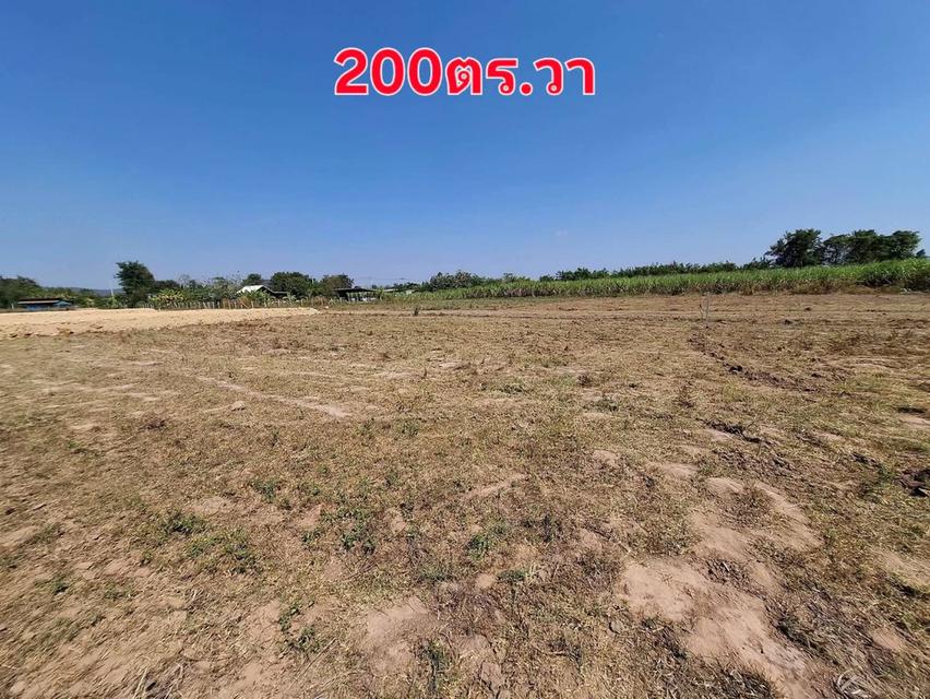 ขายที่ดินราคาถูกราชบุรี200ตร.วา อยู่ในเขตเทศบาลตำบลหินกองราชบุรี ไฟฟ้าประปาอินเตอร์เน็ตถึงราคาเพียง450,000บาท 5