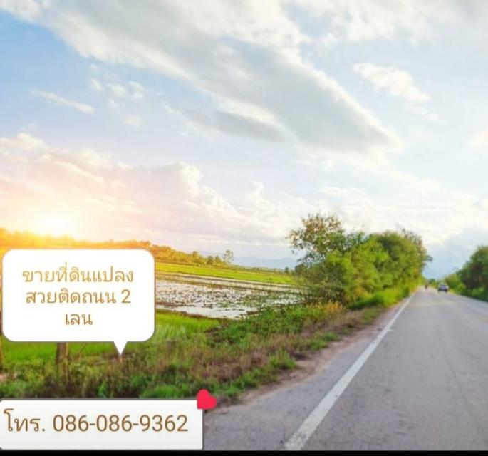 ขายที่ดินติดถนน