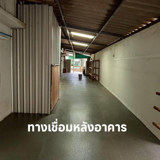 อาคารพาณิชย์ 3.5 ชั้น 3 คูหา ทะลุถึงกัน มีลิฟท์ขนของ ทำเลทองซอยประชาอุทิศ 33 บางมด ทุ่งครุ 11