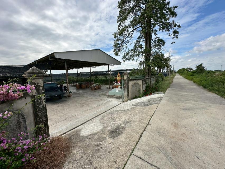 ขายที่ดิน อ.บางเลน เนื้อที่ 45ไร่ 1งาน 176ตร.ว พร้อมสวนกล้วยไม้ 6